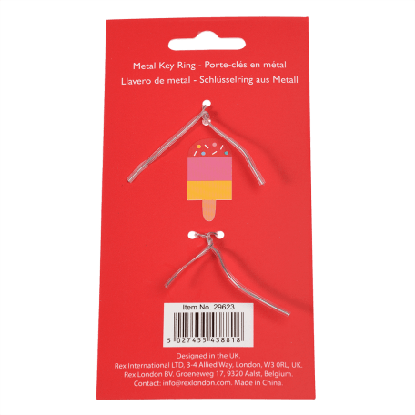 Ice lolly keyring back of packaging