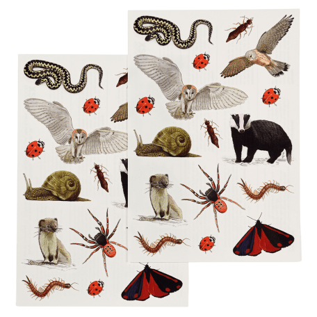 Nature Trail temporary tattoo sheets with various insects, birds, mammals, etc. found in nature