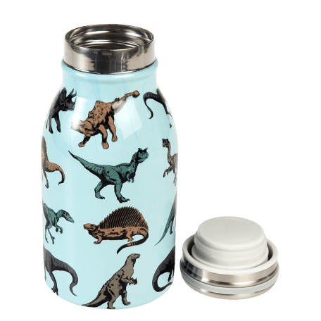 Prehistoric Land stainless steel bottle with lid removed