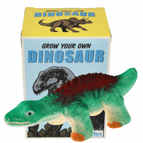 Prehistoric Land grow your own dinosaur with box