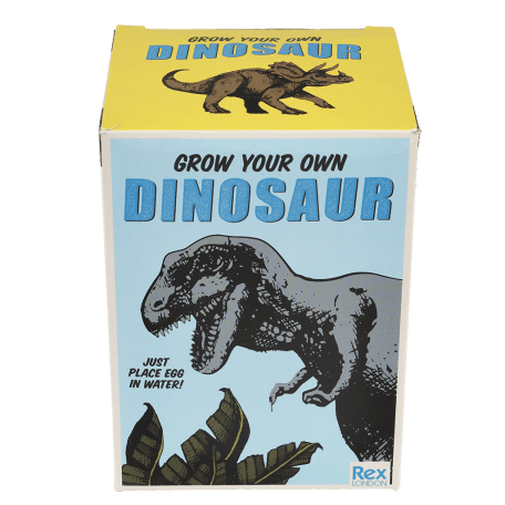 Prehistoric Land grow your own dinosaur front of box