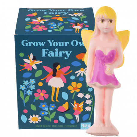 Fairies in the Garden grow your own fairy with box