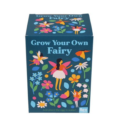 Fairies in the Garden grow your own fairy front of box