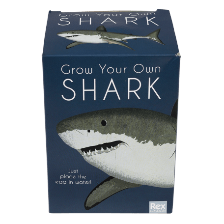 Sharks grow your own shark front of box