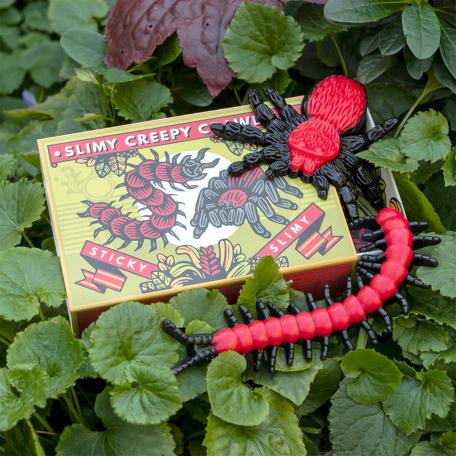 Slimy Creepy Crawlies In A Box