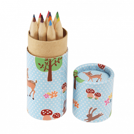 Woodland Creatures Colouring Pencils In A Tube