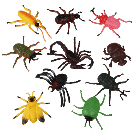 Assorted Creepy Crawlies