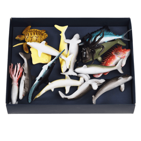 Assorted Ocean Animals (box Of 16)