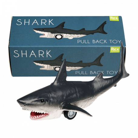 Shark Pull Back Toy