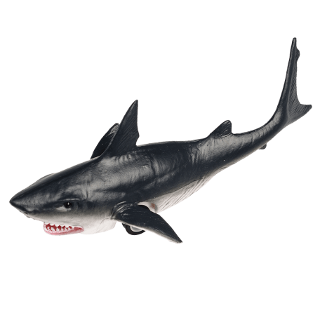 Shark Pull Back Toy