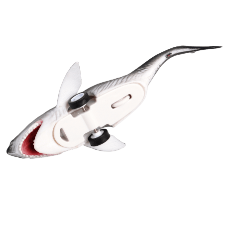 Shark Pull Back Toy