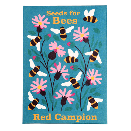 Nature Seed Collection Assorted (single)