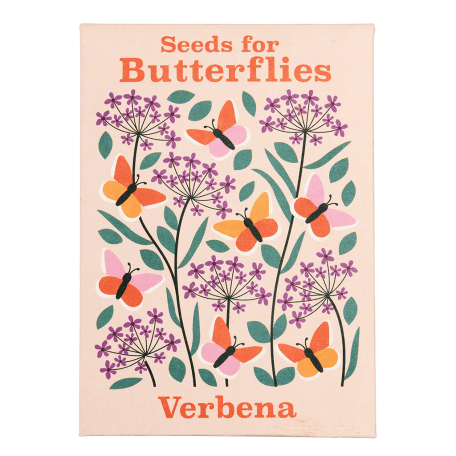 Nature Seed Collection Assorted (single)