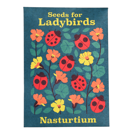 Nature Seed Collection Assorted (single)