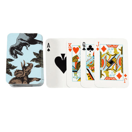 Prehistoric Land Mini Playing Cards