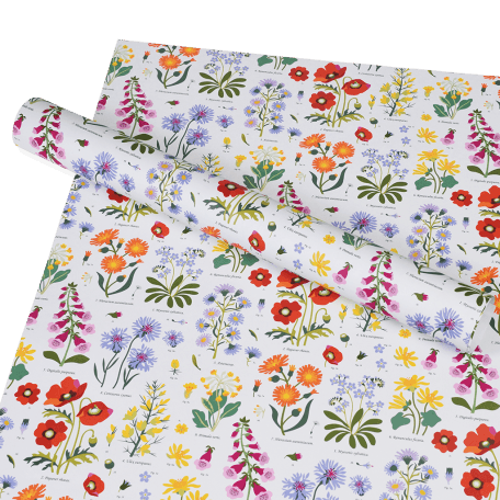 Wrapping Paper (5 Sheets) - Wild Flowers