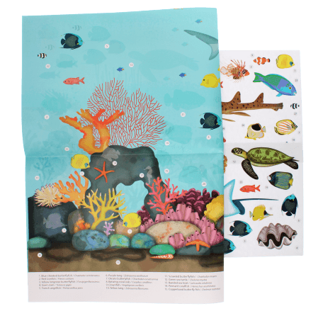 Coral Reef Sticker Poster