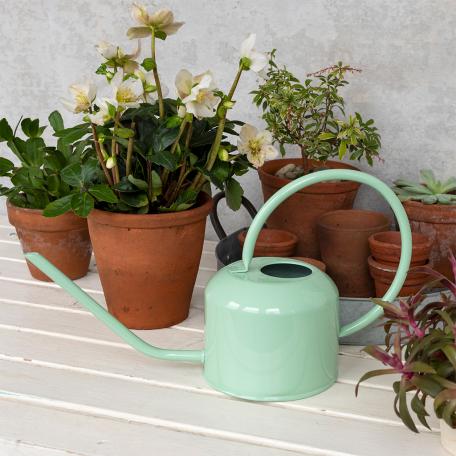 Metal Watering Can 1ltr - Pistachio