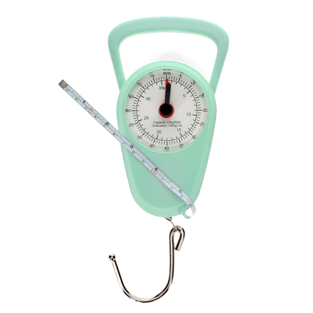 Travel scales - Pistachio green