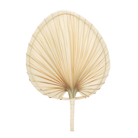 Palm leaf hand fan