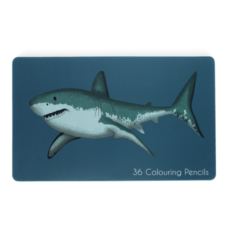 Shark 36 colouring pencils in tin