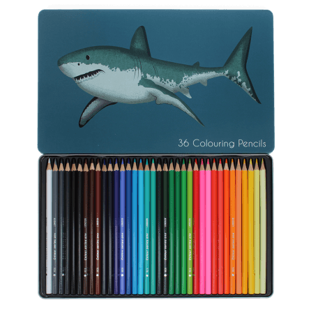 36 colouring pencils in a tin - Sharks