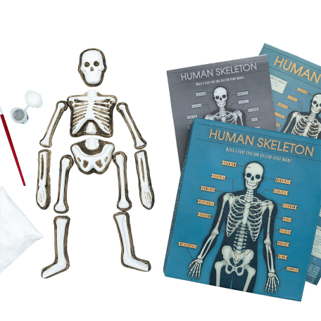 Make your own glow in the dark skeleton magnet