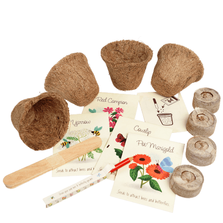 Flower growing kit - Bee and Butterfly