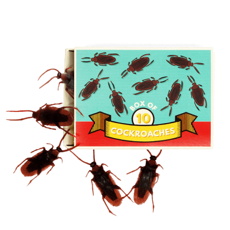 Box of 10 cockroaches - Classic Jokes