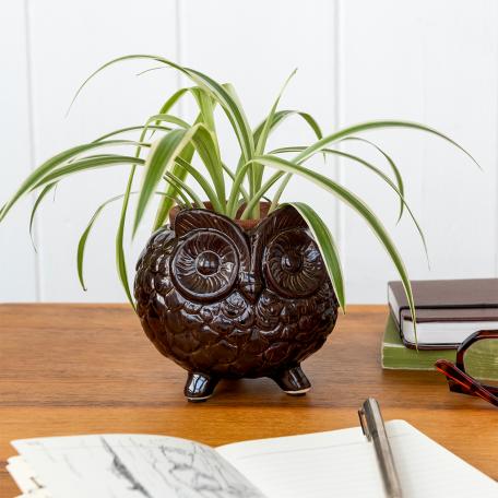 Owl planter