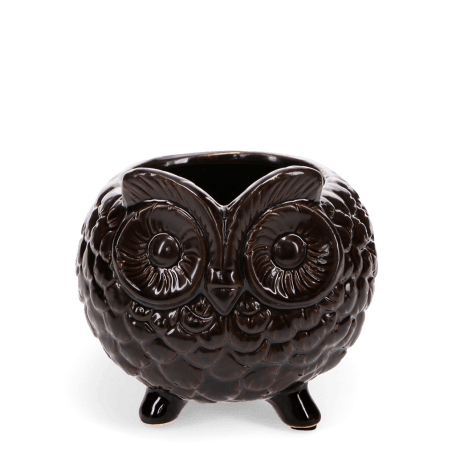 Owl planter