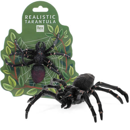 Realistic tarantula toy