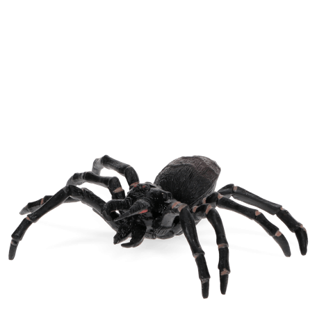 Realistic tarantula toy