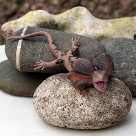 Realistic frill-necked lizard toy