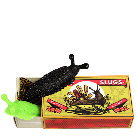 Box of two slimy slugs