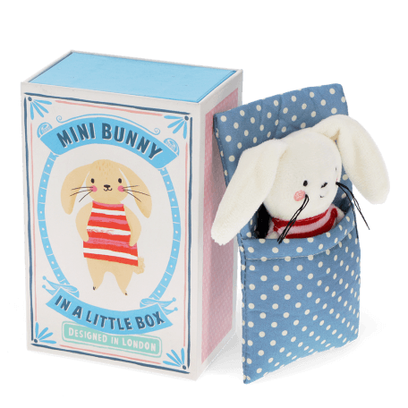 bunny-in-a-little-box