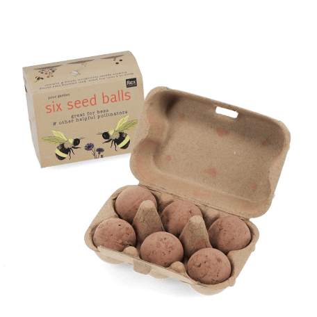 seed balls in egg box 