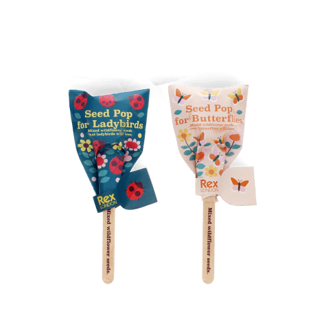 Seed pops - Wildflower seeds (assorted - SINGLE)