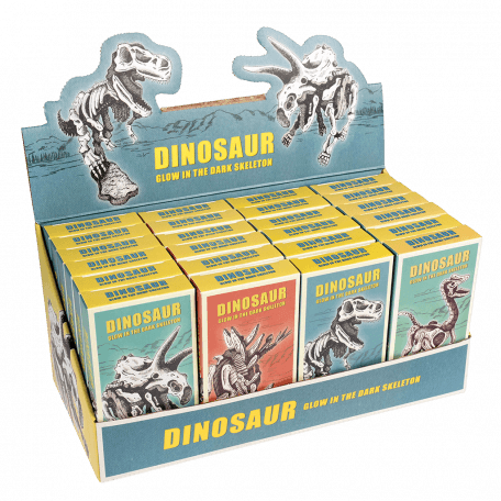 Assorted Dinosaur Skeleton Kit