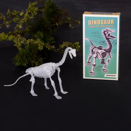 Assorted Dinosaur Skeleton Kit