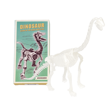 Assorted Dinosaur Skeleton Kit