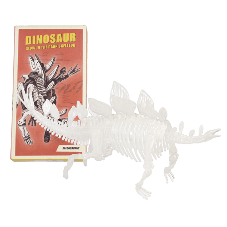 Assorted Dinosaur Skeleton Kit