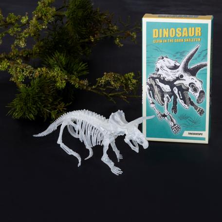 Assorted Dinosaur Skeleton Kit