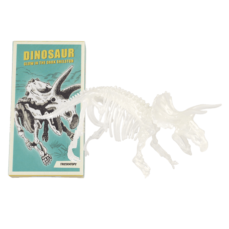 Assorted Dinosaur Skeleton Kit