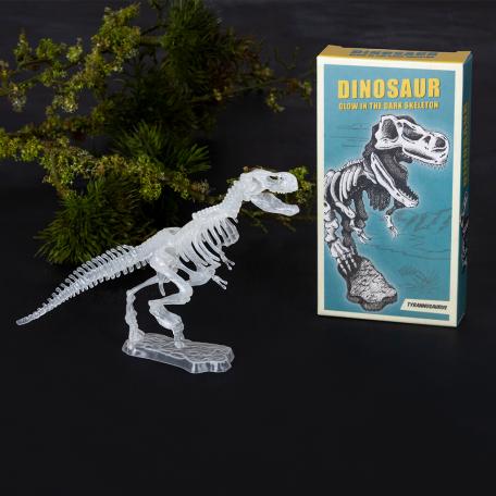 Assorted Dinosaur Skeleton Kit