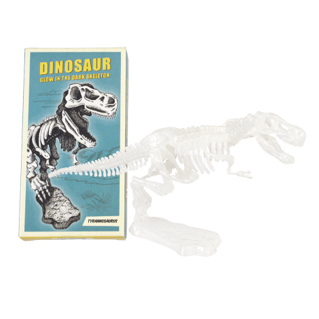 Assorted Dinosaur Skeleton Kit