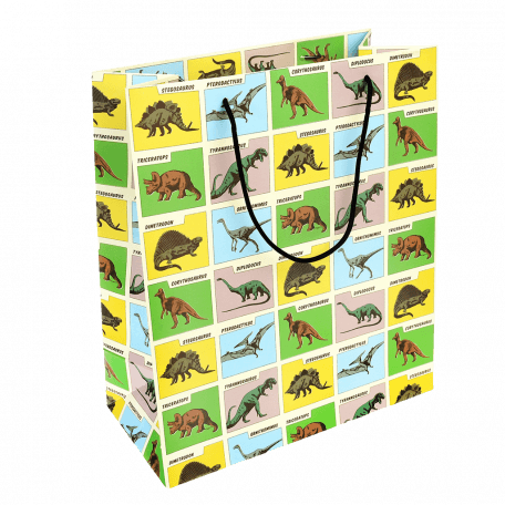 Large Prehistoric Gift Bag