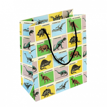 Small Prehistoric Land Gift Bag