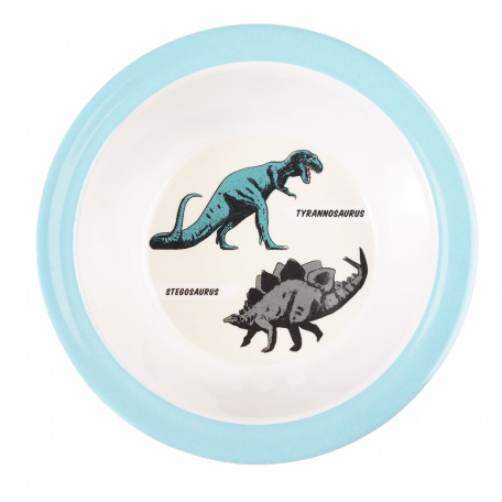 Prehistoric Land Melamine Bowl