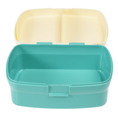 Wild Wonders Lunch Box With Tray